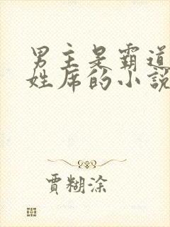 男主是霸道总裁姓席的小说