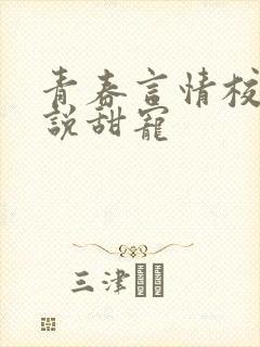 青春言情校园小说甜宠