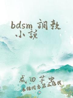 bdsm 调教 小说
