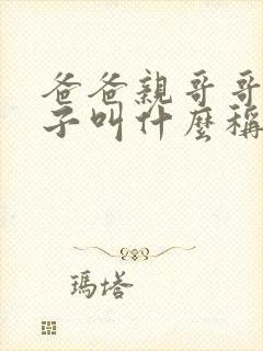 爸爸亲哥哥的儿子叫什么称呼