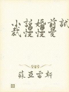 小说婚前试爱总裁慢慢爱