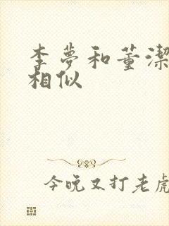 李梦和董洁长得相似