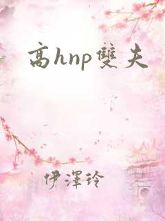 高hnp双夫