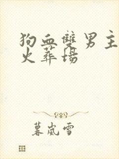 狗血双男主追妻火葬场