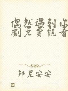 偶然遇到你电视剧免费观看全集高清