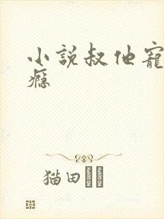 小说叔他宠妻上瘾