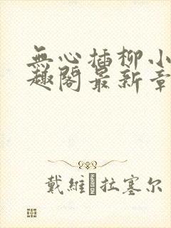无心插柳小说笔趣阁最新章节