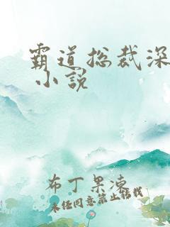 霸道总裁深深爱 小说