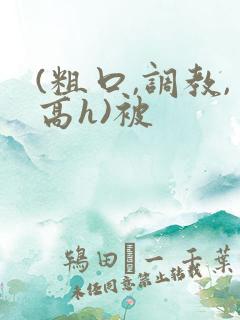 (粗口,调教,高h)被