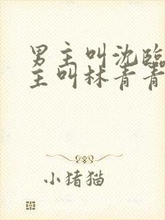 男主叫沈临川女主叫林青青的小说