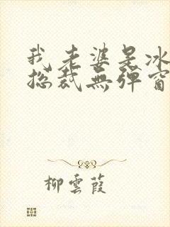 我老婆是冰山女总裁无弹窗