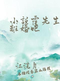 小说霍先生我们离婚吧