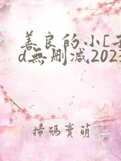 善良的小[子hd无删减2023