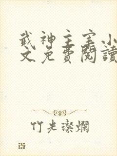 武神主宰小说全文免费阅读完整版