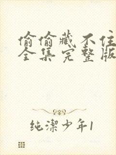 偷偷藏不住免费全集完整版