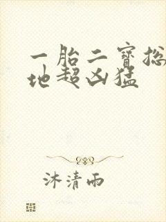 一胎二宝总裁爹地超凶猛