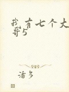 我有七个大佬哥哥5