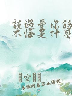 说过爱你的话我不悔是什么歌