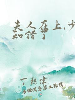 夫人在上,少帅知错了