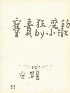 宠妻狂魔的黏人宝贝by小彻