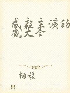 成毅主演的电视剧大全