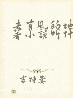 去有风的地方原著小说叫什么名字