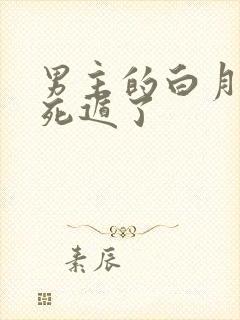 男主的白月光又死遁了