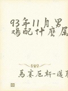 93年11月男鸡配什么属相