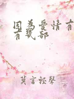 因为爱情有奇迹有几部