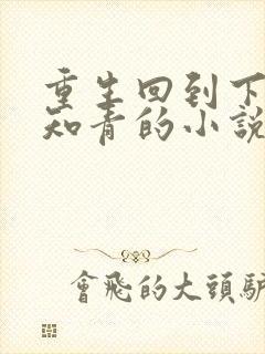 重生回到下乡当知青的小说