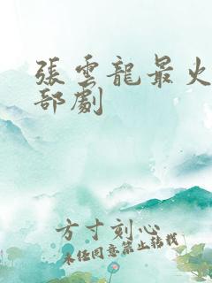 张云龙最火的三部剧