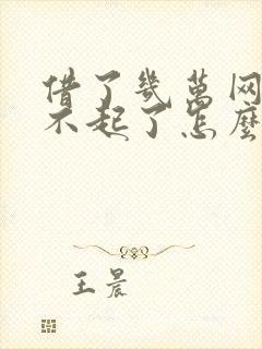 借了几万网贷还不起了怎么办