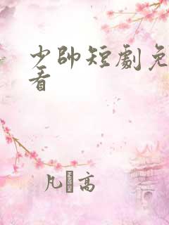 少帅短剧免费观看
