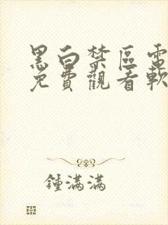 黑白禁区电视剧免费观看软件