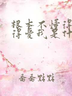 根本不懂得不懂得爱我是什么歌