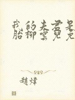 我的夫君是双胞胎柳云儿免费阅读