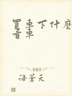 买车下什么软件看车