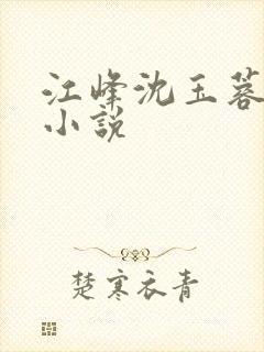 江峰沈玉蓉全文小说