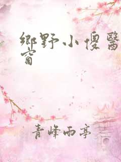 乡野小傻医无弹窗