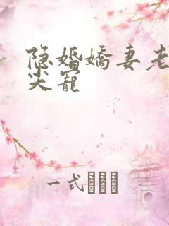 隐婚娇妻老公心尖宠