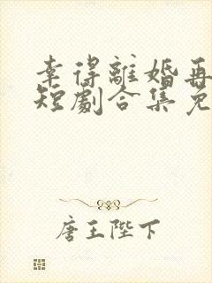 幸得离婚再相遇短剧合集免费观看