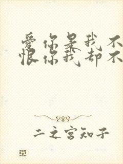 爱你是我不小心恨你我却不忍心是什么歌