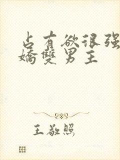 占有欲很强的病娇双男主