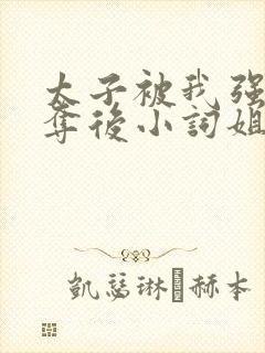 太子被我强取豪夺后小词姐姐