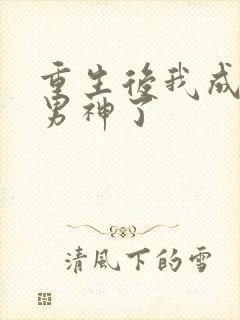 重生后我成国民男神了