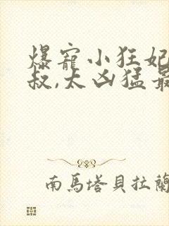 爆宠小狂妃:皇叔,太凶猛最新章节