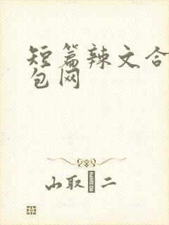 短篇辣文合集书包网