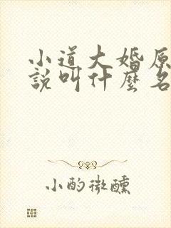 小道大婚原著小说叫什么名字