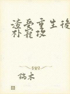 渣受重生后悔弥补宠攻