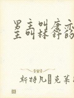 男主叫唐亦琛女主叫林舒的小说